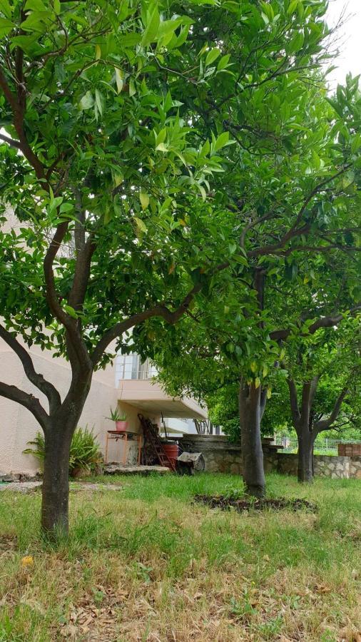 Vila Noga Borsh Exterior foto